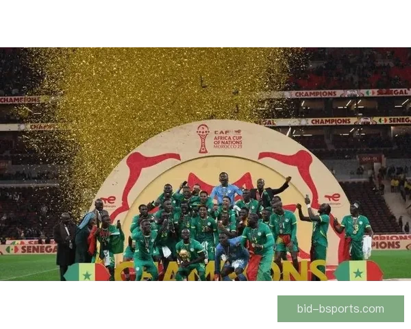 科特迪瓦上演奇迹逆转夺非洲杯冠军历史时刻再创辉煌